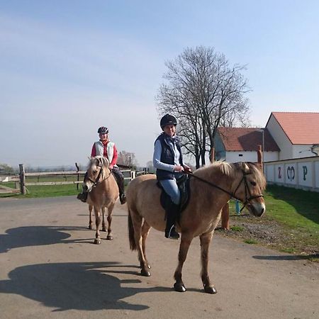 Zoopark Zelcin Villa Melnik Bagian luar foto