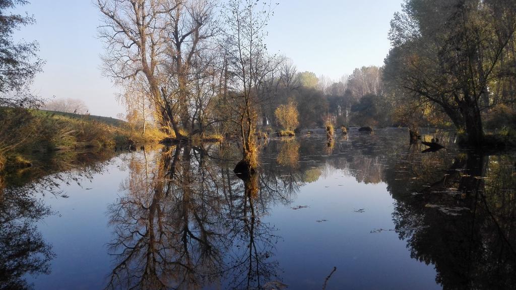 Zoopark Zelcin Villa Melnik Bagian luar foto