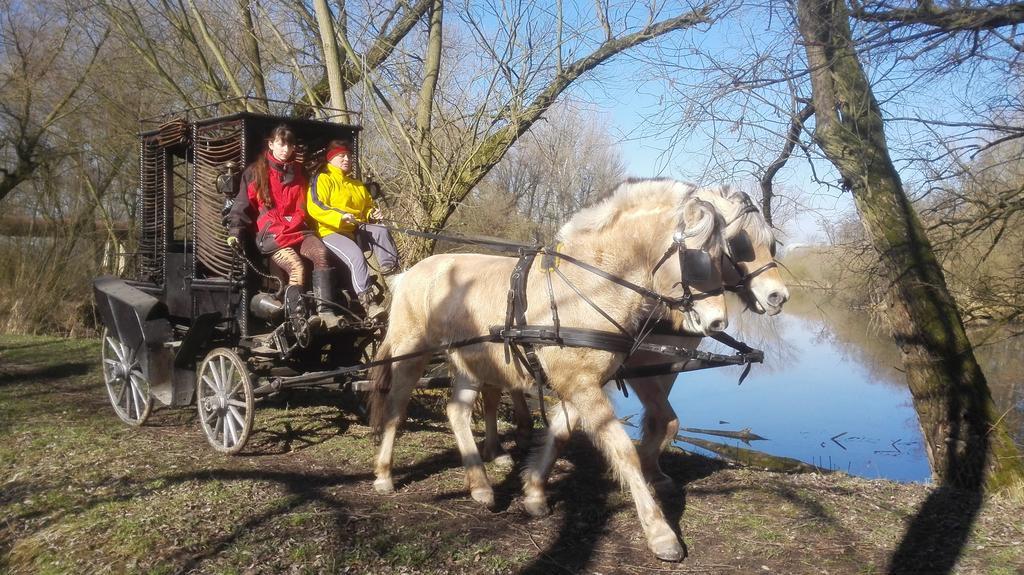 Zoopark Zelcin Villa Melnik Bagian luar foto