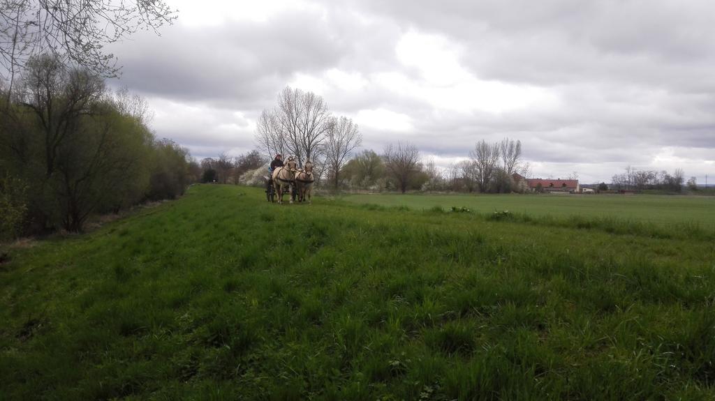 Zoopark Zelcin Villa Melnik Bagian luar foto