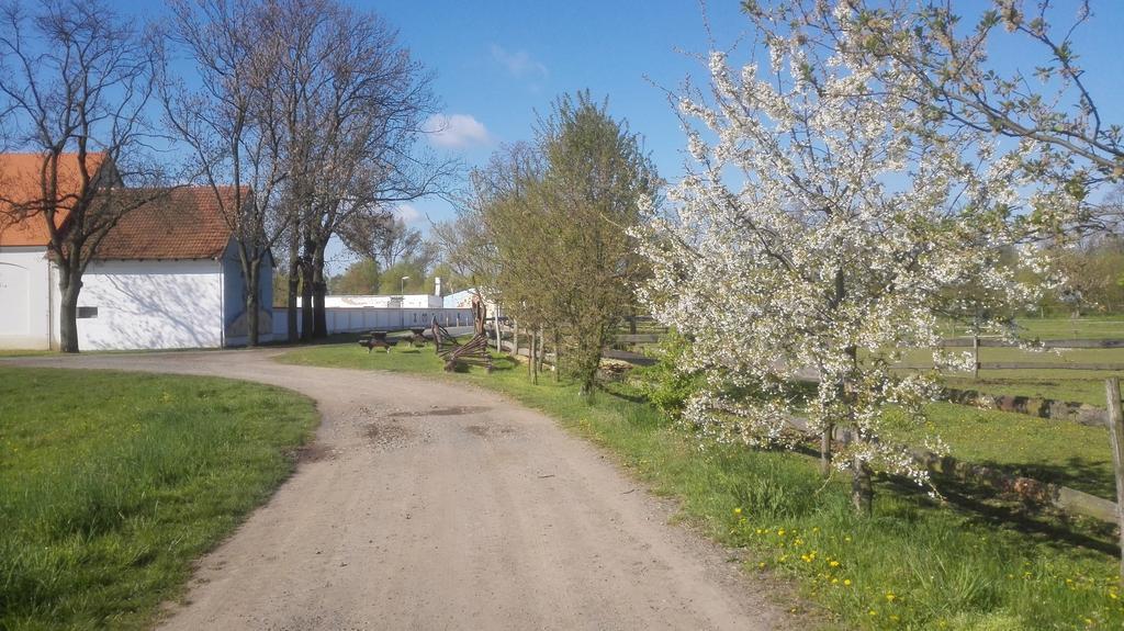 Zoopark Zelcin Villa Melnik Bagian luar foto