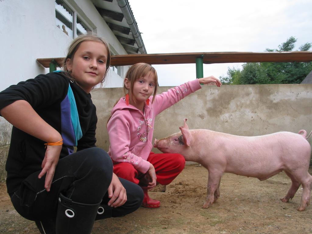 Zoopark Zelcin Villa Melnik Bagian luar foto