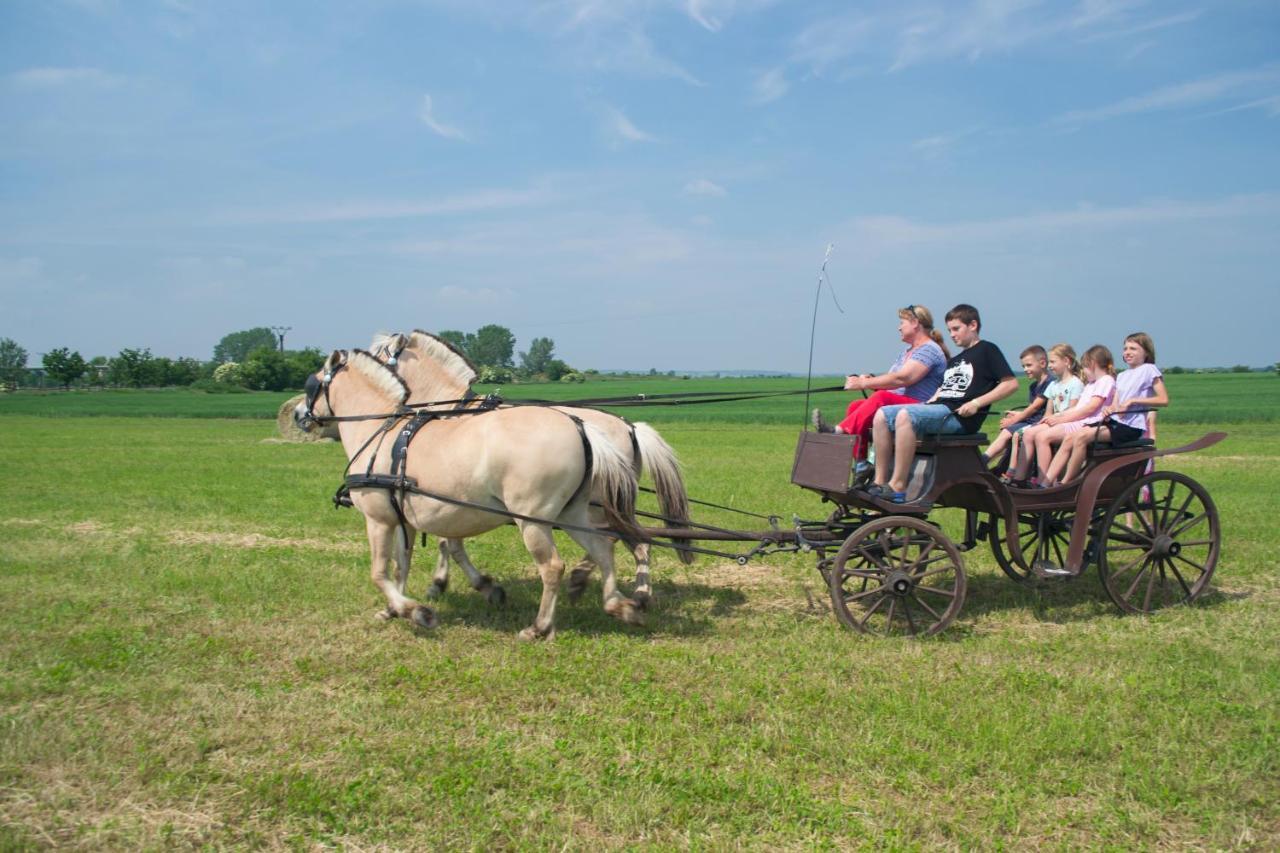 Zoopark Zelcin Villa Melnik Bagian luar foto